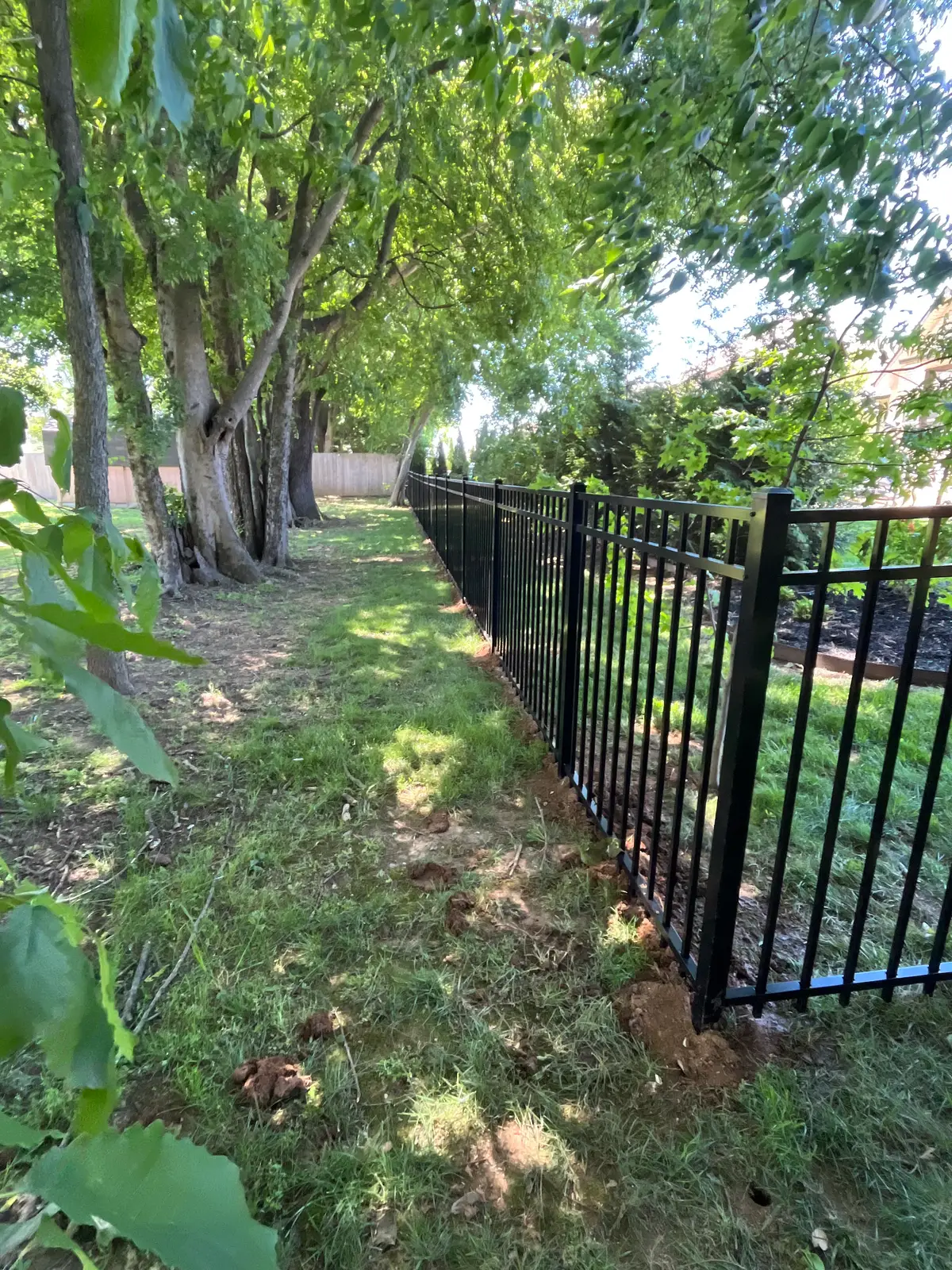 Black aluminum fence tree-lined pathway, installed by Duck Duck Fence