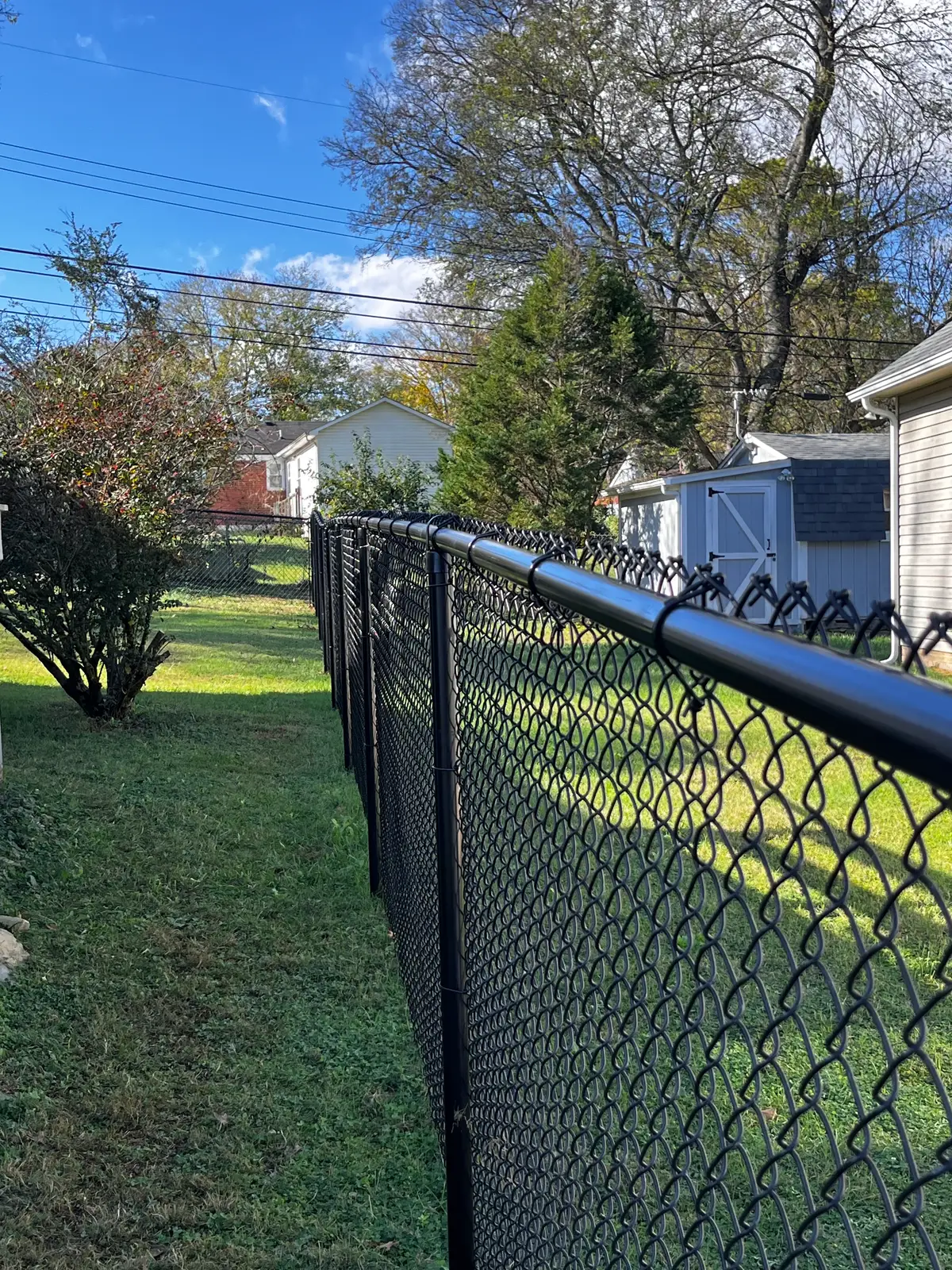 Black chain-link fence with a rounded top rail around a backyard