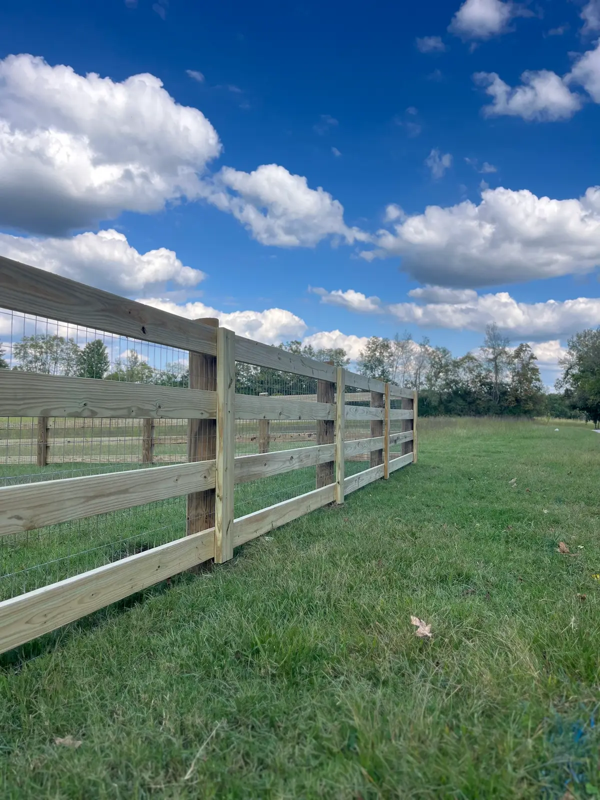 Long wood board fence framing an open pasture