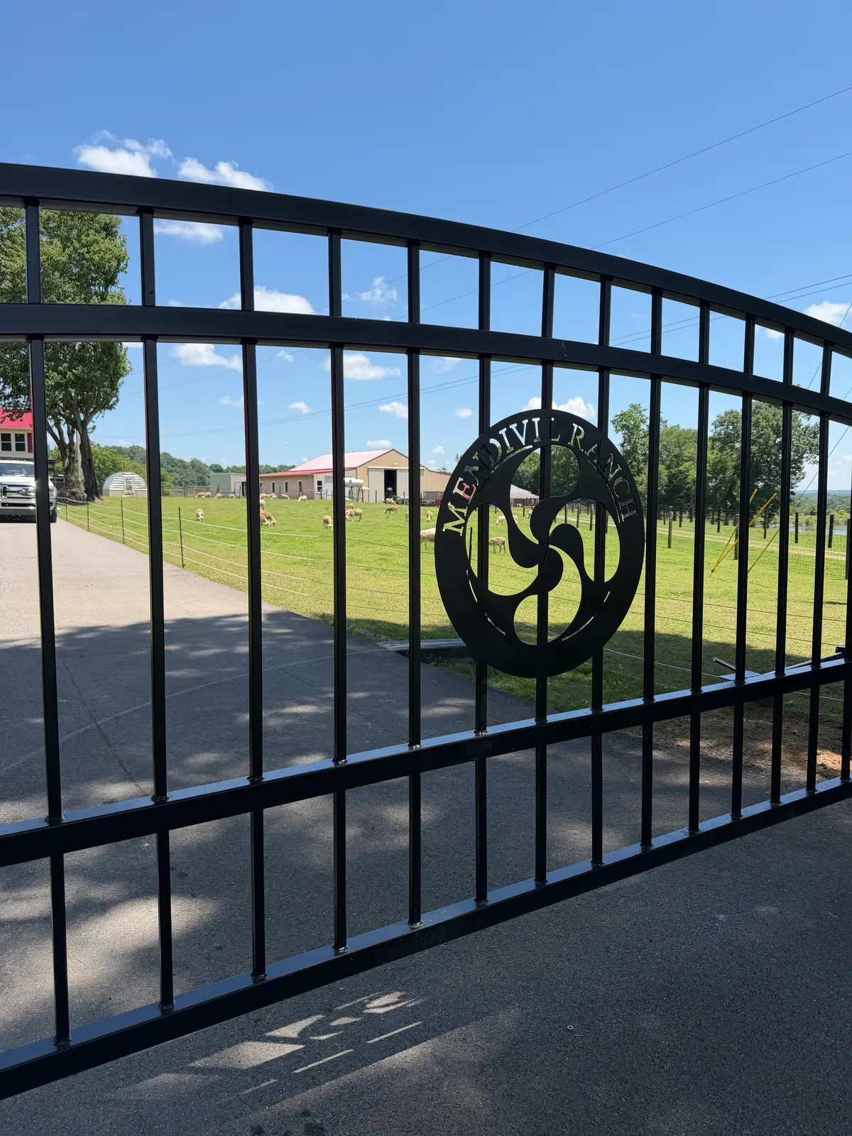 Arched ornamental driveway gate with a monogram medallion