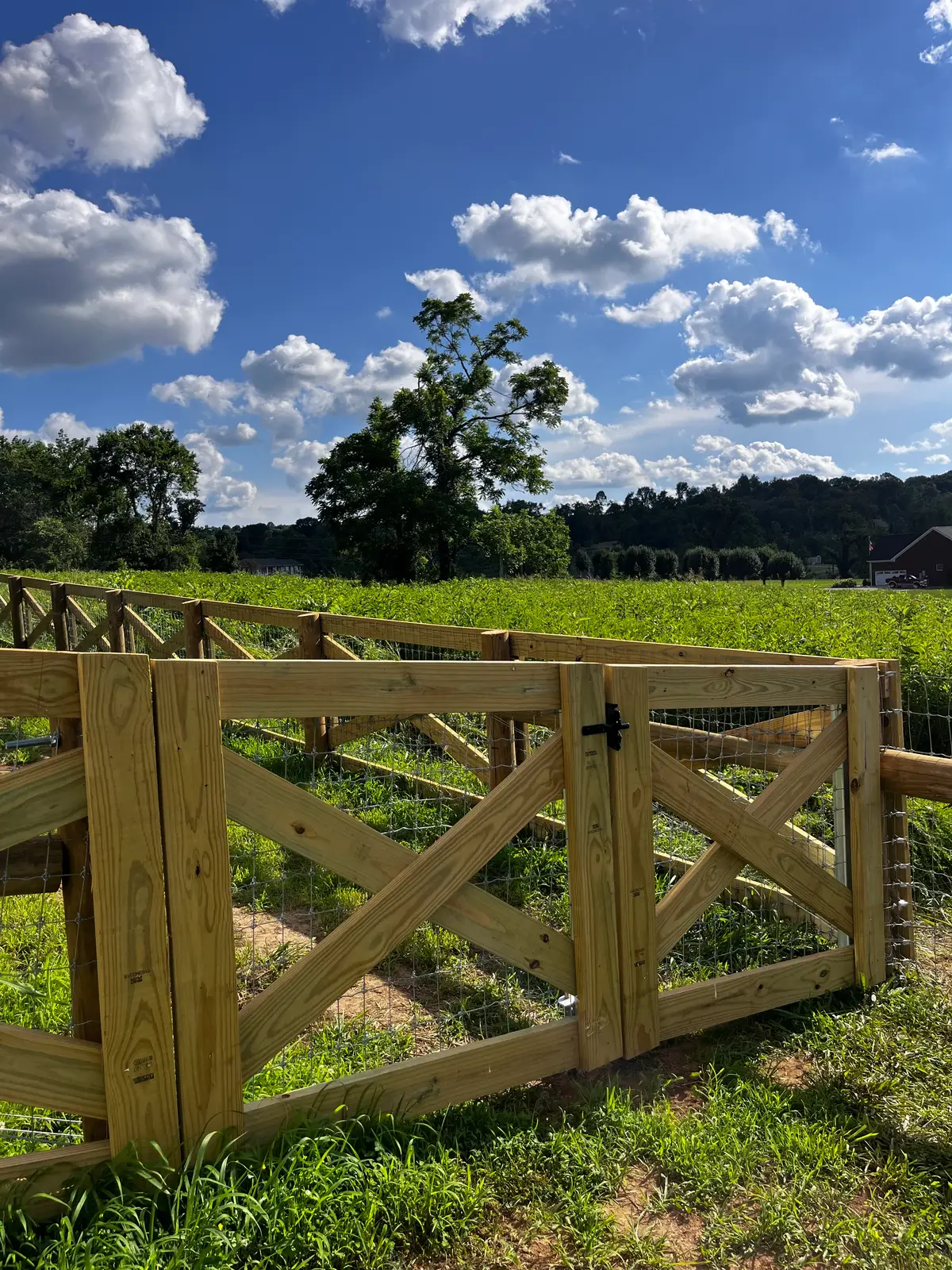 Wood-post woven-wire farm fence with an X-brace corner