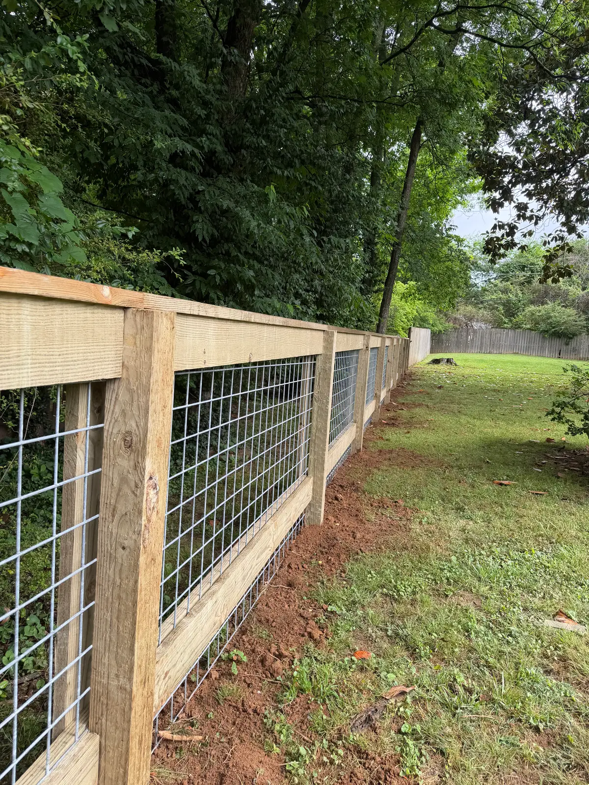 Wood-post woven-wire fence along a wooded property line