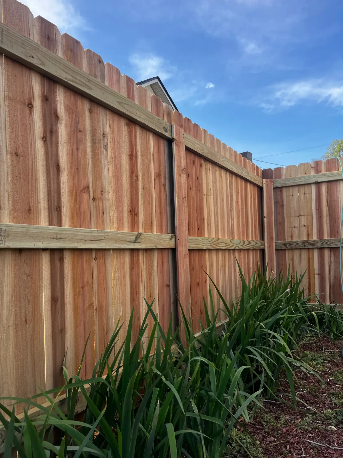 Cedar wood privacy fence along a residential side yard